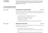 Server Resume Samples Full Guide Restaurant Server Resume 12 Pdf Examples 2019