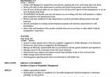 Server Resume Samples Waiter Resume Sample Ipasphoto