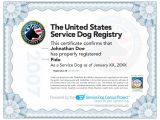 Service Animal Certificate Template How to Certify A Service Dog Care 4 Your Pets