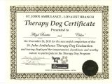 Service Animal Certificate Template How to Get Fake Service Dog Papers Best Samples Templates