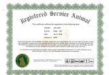 Service Animal Certificate Template Information On Emotional Support Dog Certificate Dog