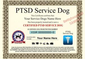 Service Animal Certificate Template Ptsd Service Dog Certificate 8 5 by 11 Inches Ada Pet
