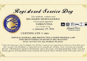 Service Animal Certificate Template Service Dog Certificate Template 2017 Example Service Dog