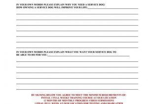 Service Animal Certificate Template Service Dog Certificate Template Shatterlion Info