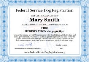 Service Animal Certificate Template Service Dog Registration Digital Certificate top Dog