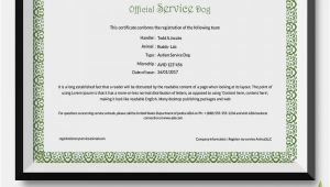 Service Dog Certificate Template 25 Certificate Templates Free Premium Templates