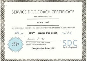 Service Dog Certificate Template Certificate Template In Ca Gallery Certificate Design