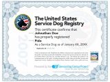 Service Dog Certificate Template How to Certify A Service Dog Care 4 Your Pets