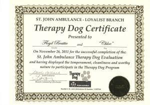 Service Dog Certificate Template How to Get Fake Service Dog Papers Best Samples Templates