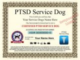 Service Dog Certificate Template Ptsd Service Dog Certificate 8 5 by 11 Inches Ada Pet