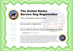 Service Dog Certificate Template Service Dog Certificate Pdf Hunecompany Com