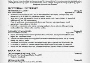 Service Industry Resume Template Food Service Waitress Waiter Resume Samples Tips
