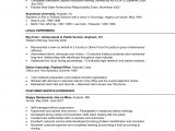 Service Industry Resume Template One Page Functional Resume Example Resume Objective