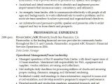Service Industry Resume Template Resume Senior Position In the Financial Services Industry