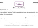 Shareholder Certificate Template Free Share Certificate Template Create Perfect Share