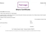 Shareholding Certificate Template Free Share Certificate Template Create Perfect Share