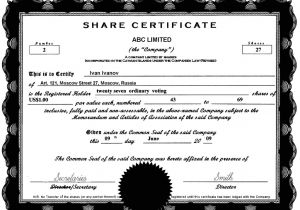 Shareholding Certificate Template Shareholder Certificate Template Shares Certificate