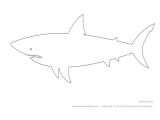 Shark Teeth Template Shark Drawing Template