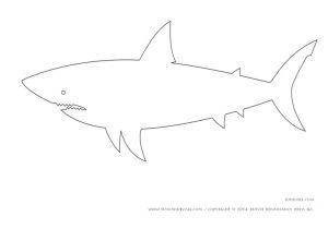 Shark Teeth Template Shark Drawing Template