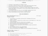 Shidduch Resume Sample 28 Shidduch Resume Template Professional Best Resume