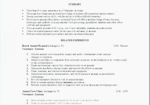 Shidduch Resume Sample 28 Shidduch Resume Template Professional Best Resume