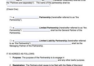 Silent Partner Contract Template Silent Partnership Agreement Template Basic Free Silent