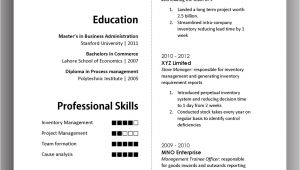 Simple and Effective Resume format Simple yet Elegant Cv Template to Get the Job Done Free