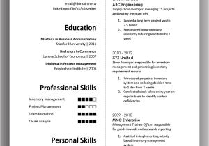 Simple and Effective Resume format Simple yet Elegant Cv Template to Get the Job Done Free
