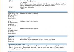 Simple Blank Resume format Download In Ms Word 6 Curriculum Vitae Download In Ms Word theorynpractice