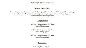 Simple Blank Resume format Pdf 46 Blank Resume Templates Doc Pdf Free Premium