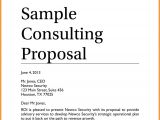 Simple Consulting Proposal Template Consulting Proposal Gallery