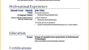 Simple Fill In the Blank Resume 9 Best Resume formats Free Samples Examples format