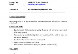 Simple Indian Resume format In Word India 3 Resume format Best Resume format Accountant