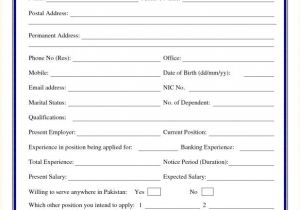 Simple Job Resume format Pdf Simple Resume format Pdf Template Employment form
