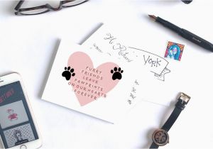 Simple Note to Write In Sympathy Card What to Write In A Pet Sympathy Card Punkpost Medium