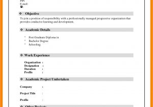 Simple Resume format Download In Ms Word 2007 5 Cv format Word File Download theorynpractice