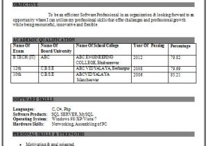 Simple Resume format for 12th Pass Student Over 10000 Cv and Resume Samples with Free Download It