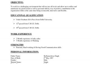Simple Resume format for 12th Pass Student Resume format 10th Pass Resume format