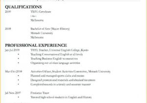 Simple Resume format for Applying Job 13 Resume form Application Cover Letter