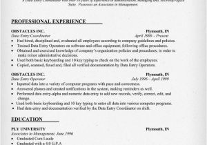 Simple Resume format for Data Entry Operator Administration Data Entry Clerk Resume Example