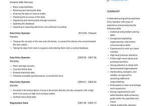 Simple Resume format for Data Entry Operator Data Entry Operator Resume Samples and Templates Visualcv