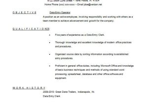 Simple Resume format for Data Entry Operator Data Entry Resume Template 8 Free Word Excel Pdf