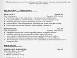 Simple Resume format for Data Entry Operator Professional Resume Template Resume Template Sample
