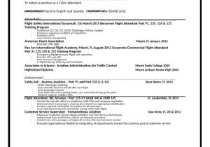 Simple Resume format for Flight attendant Basic Flight attendant Resume Template