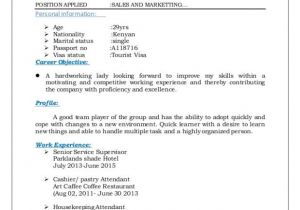 Simple Resume format for Flight attendant Resume for Flight attendant Template Business