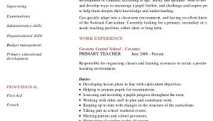 Simple Resume format for Primary Teachers 29 Basic Teacher Resume Templates Pdf Doc Free