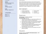 Simple Resume format Ms Word File Cv Resume Templates Examples Doc Word Download