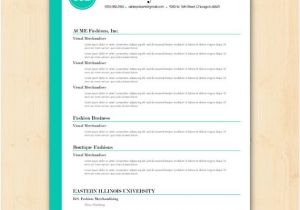 Simple Resume format Ms Word File Resume Template Cv Template the ashley Roberts by Phdpress
