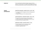 Simple Resume Template Customize 505 Simple Resume Templates Online Canva