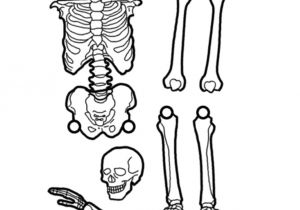 Skeleton Template to Cut Out Best Photos Of Printable Skeleton Cut Out Halloween